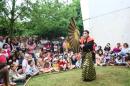 maitre eventail 010 * 4368 x 2912 * (5.27MB)